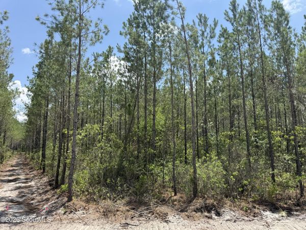 Lot 10 Corbitt Road , Manor, GA 31550
