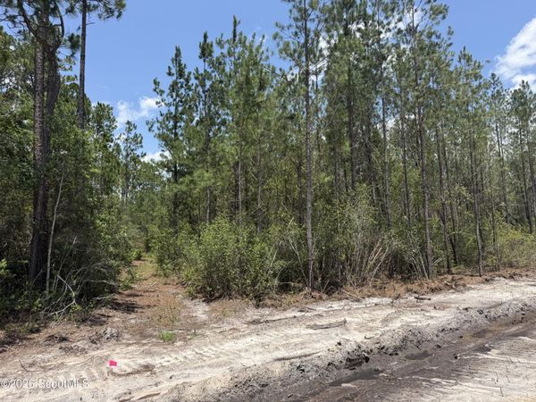 Lot 8 Corbitt Road , Manor, GA 31550