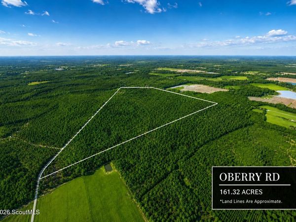 0 Oberry Road, Millwood, GA 31552