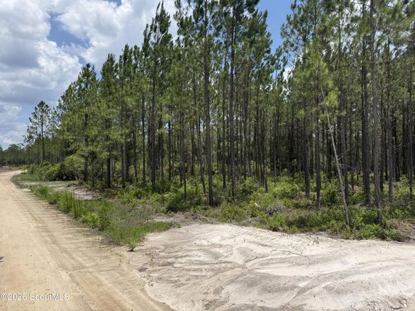 Lot 5 Corbitt Road , Manor, GA 31550