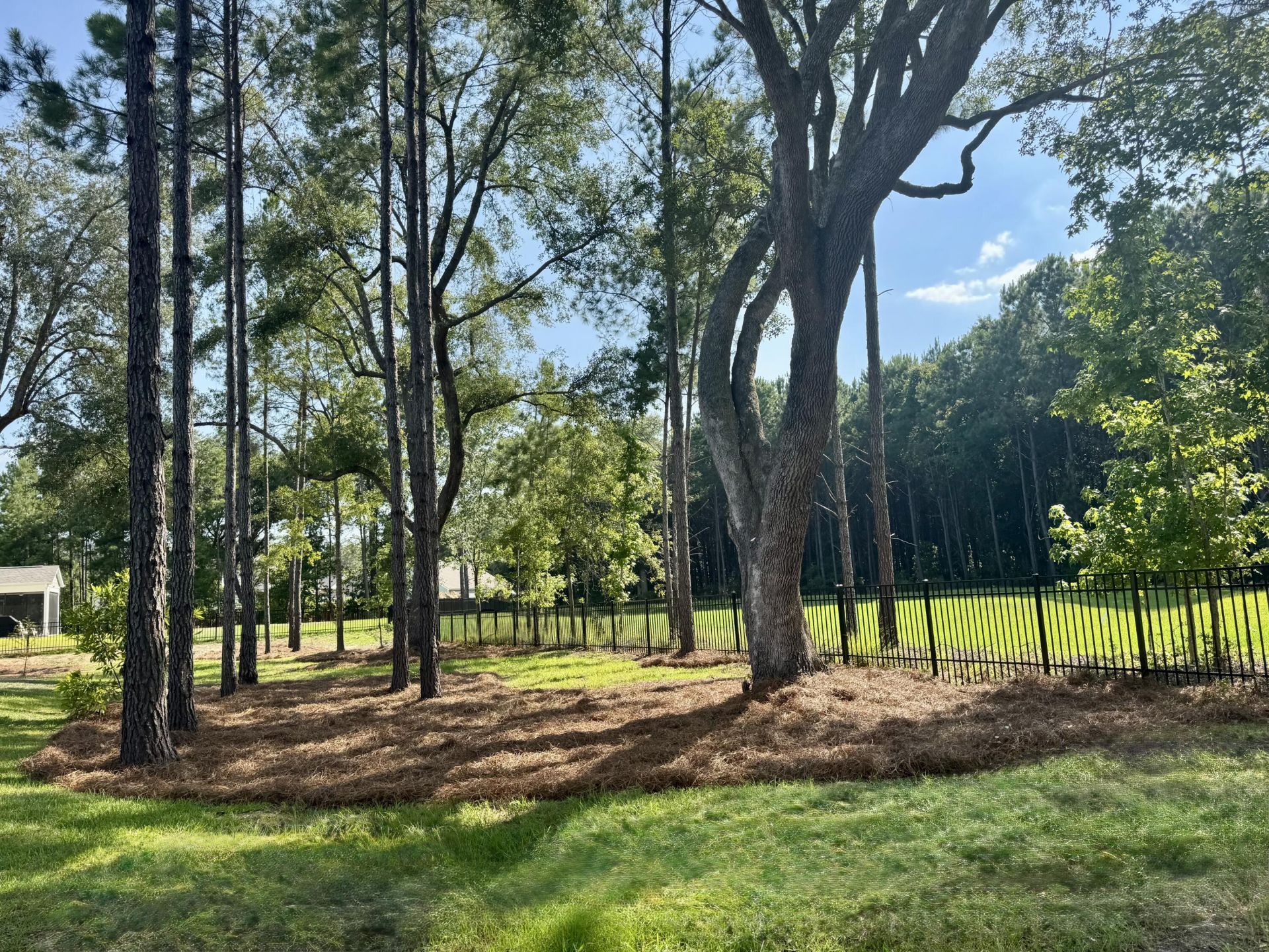 4287 Hugh Bennett Drive Photo 8