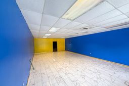 5131 Dorchester Road  photo 4