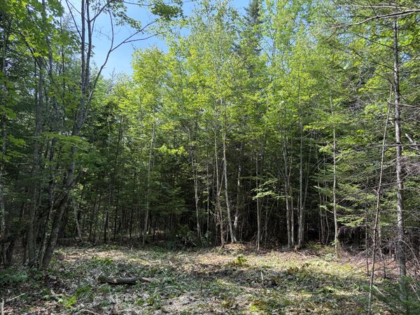 Lot 5 Holley Road , Farmington, ME 04938