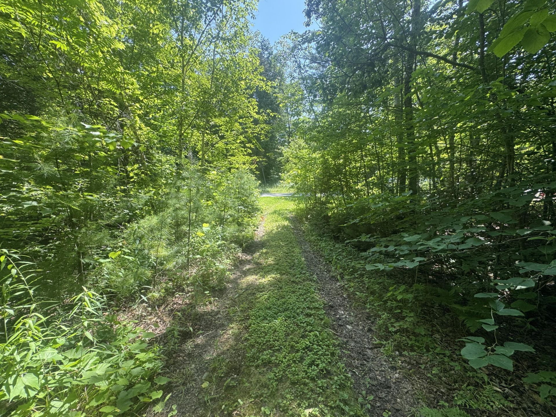 Map67lot5 Morrill Road , China, ME 04358 Main Photo