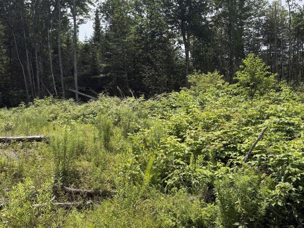 M6L23-4 Pinewood Drive , Corinth, ME 04427