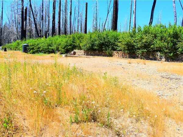 461 Milsap Bar, Berry Creek, CA 95916