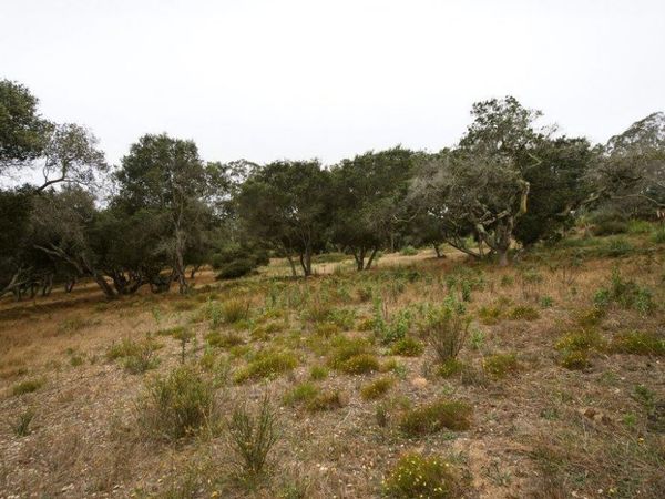 0 Valle Pacifico Road, Salinas, CA 93907