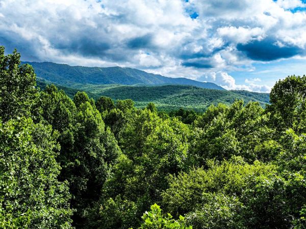 0 Angie Lane , Unit 74-77, Gatlinburg, TN 37738
