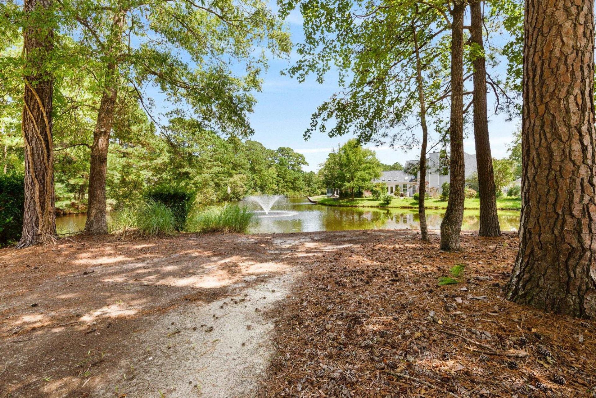 101 Sadler Way Photo 37