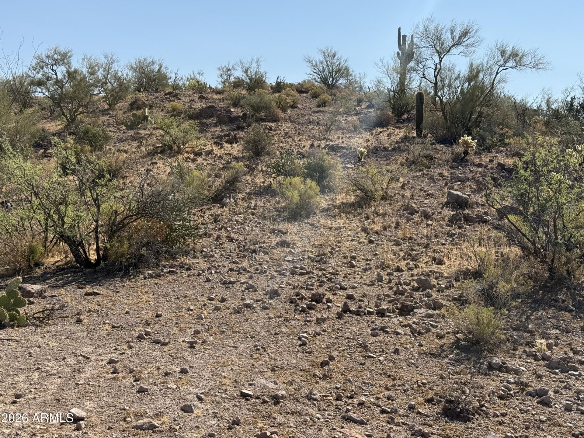 xxx Lake Pleasant /Cow Creek Road, Morristown, AZ 85342