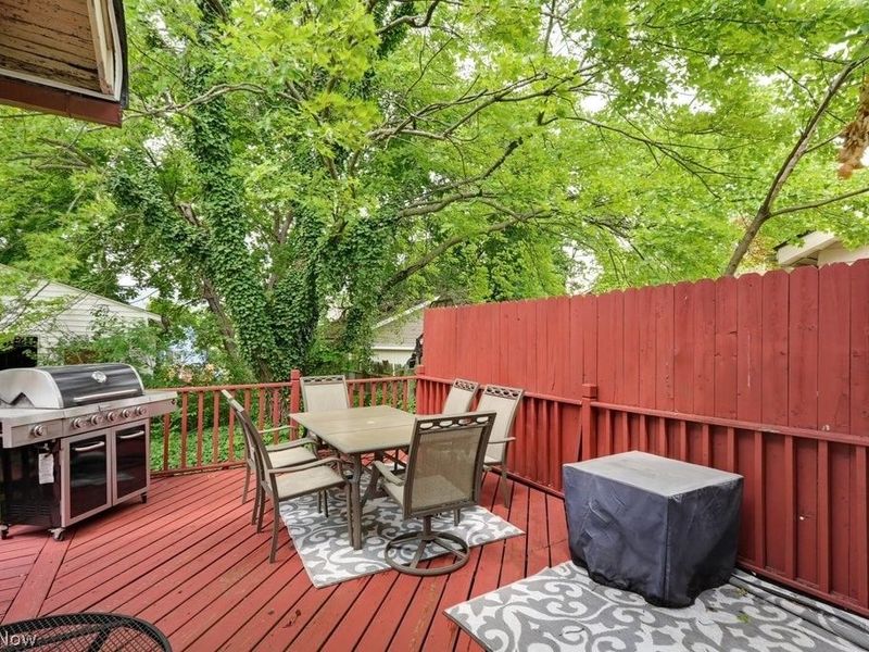 1298 Neptune Avenue, Akron, OH 44301 Photo 29