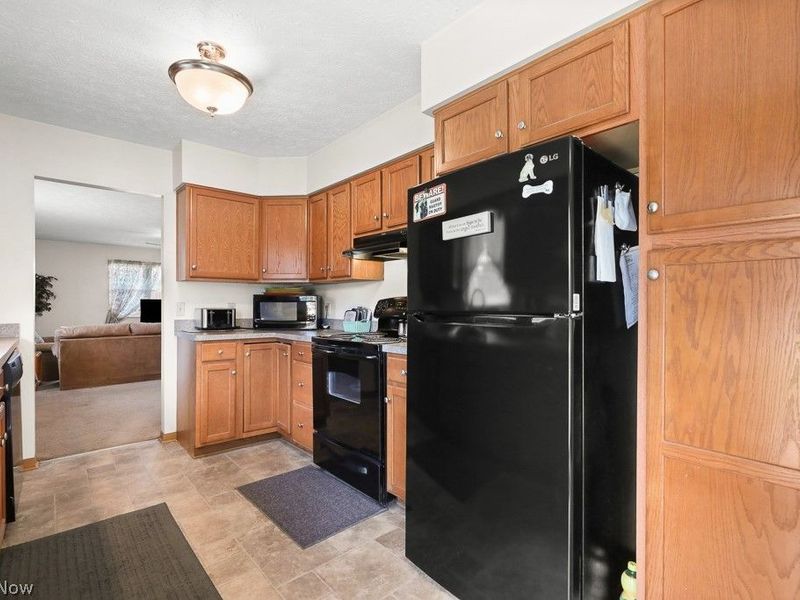 109 Monticello Circle, Elyria, OH 44035 Photo 13