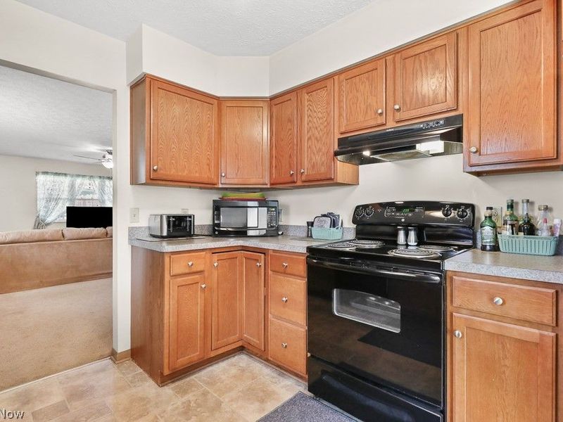 109 Monticello Circle, Elyria, OH 44035 Photo 18