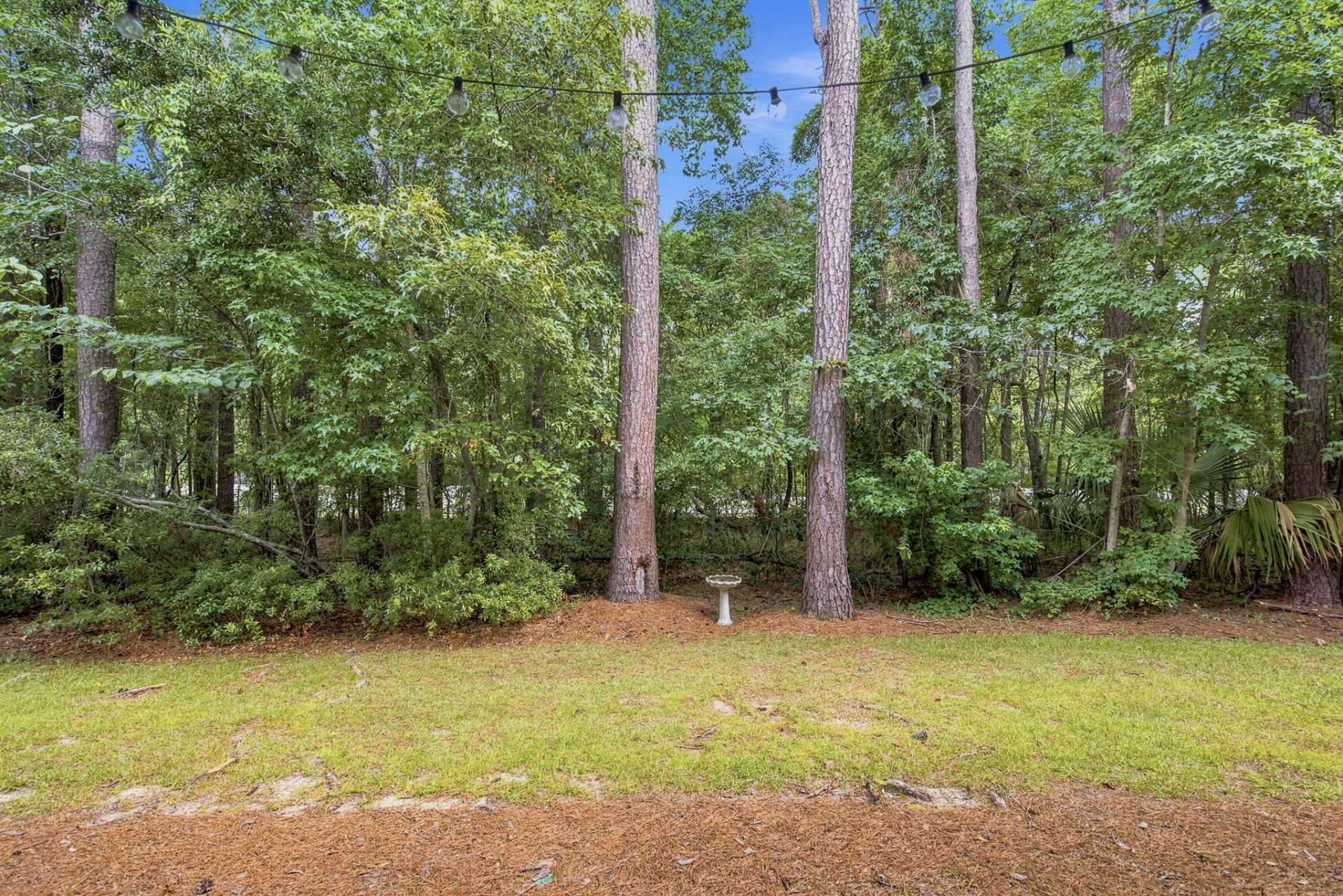 3508 Bagley Drive Photo 43