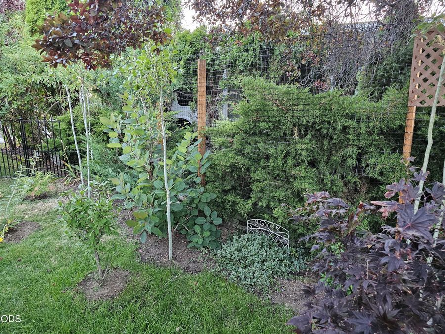 Property Image 30