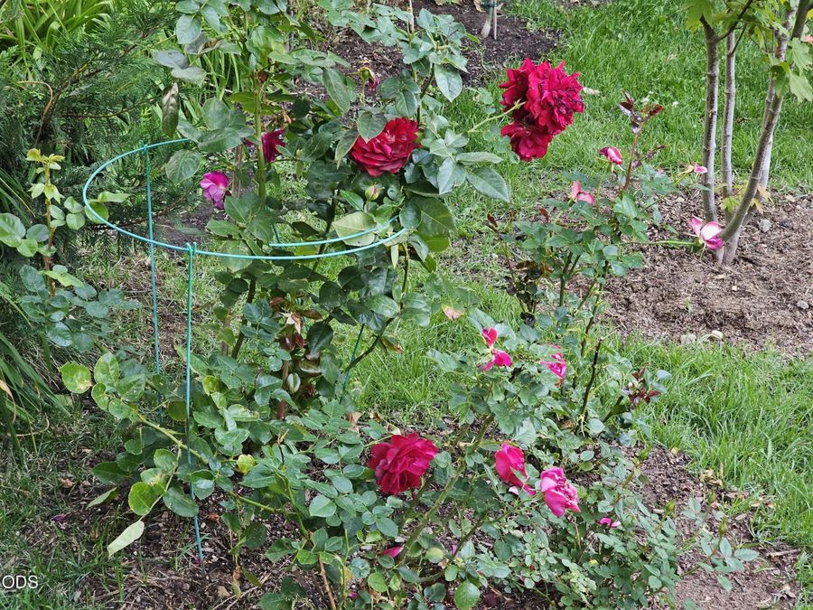 Property Image 31