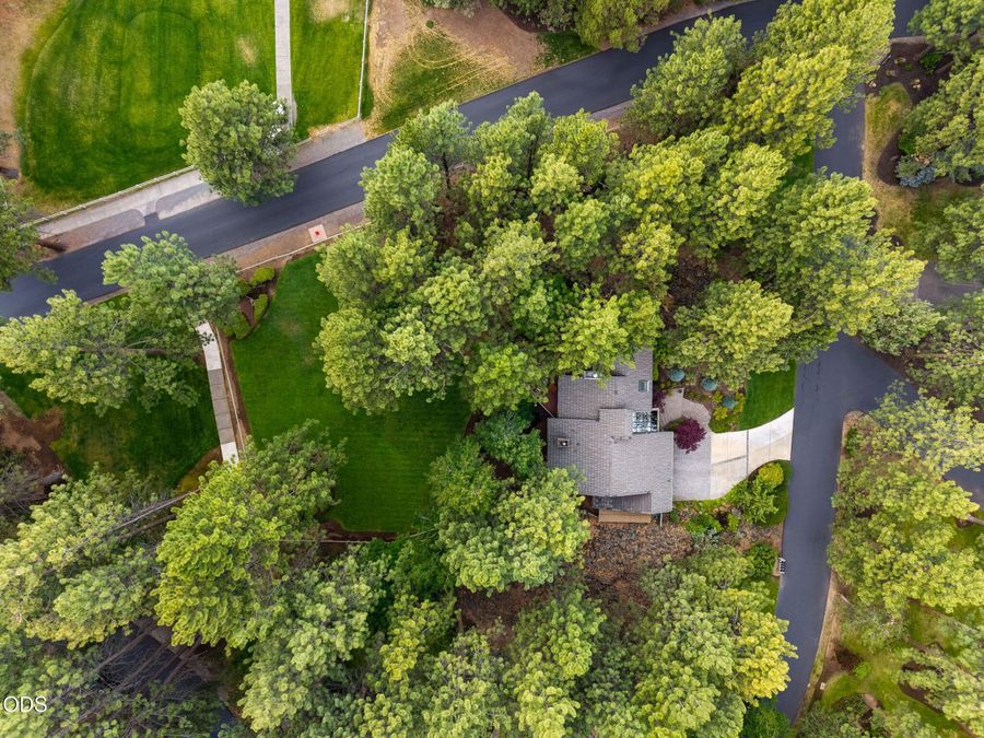 Property Image 81