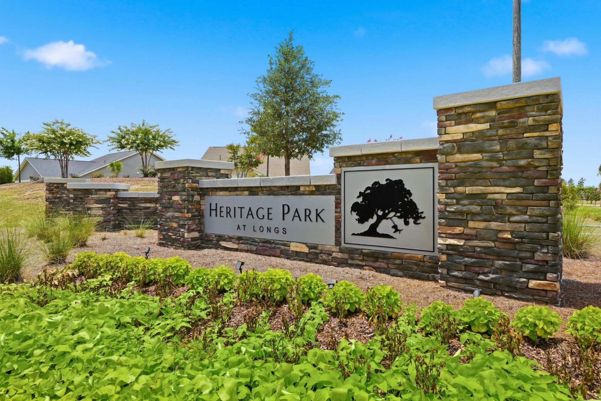 210 Autumn Olive Place  Photo 26