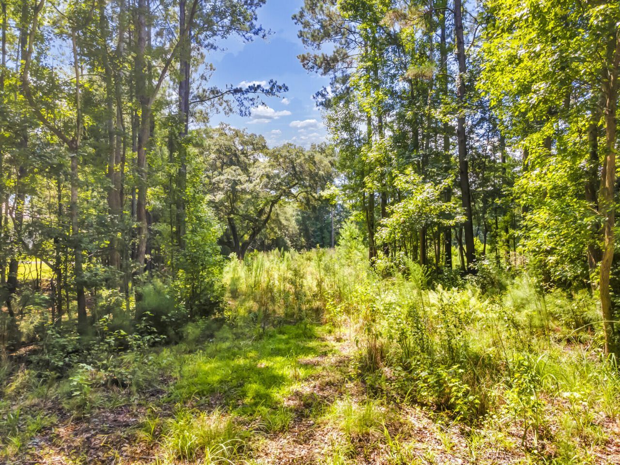 5979 Joseph Blake Lane Photo 7