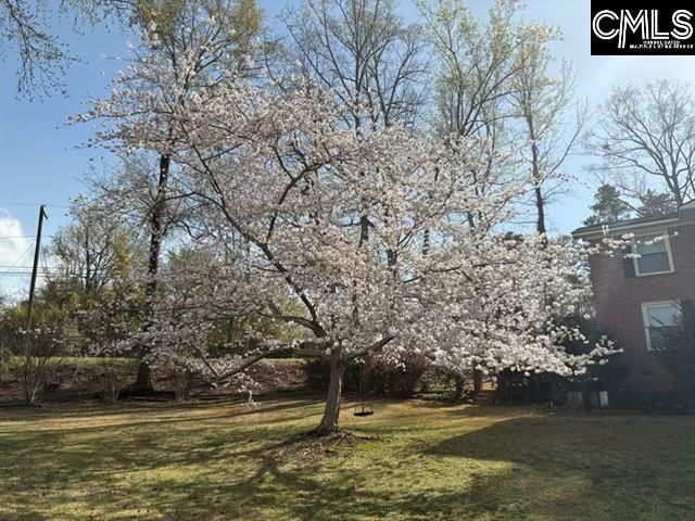 101 Brookgreen Drive  Photo 75