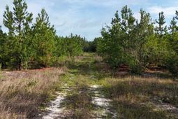 3091 Arcadia Road  photo 4