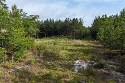 3091 Arcadia Road  photo 4