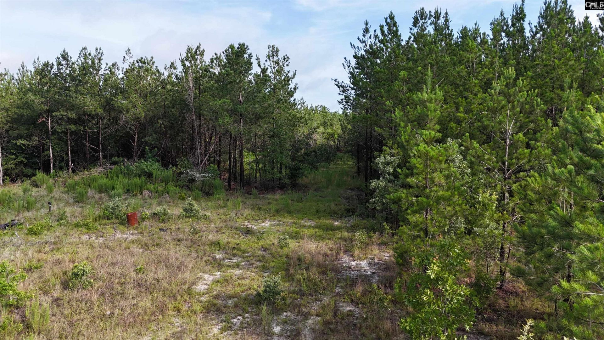3091 Arcadia Road  Photo 4