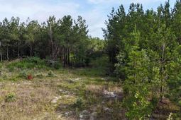 3091 Arcadia Road  photo 4