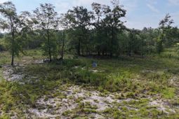 3091 Arcadia Road  photo 4