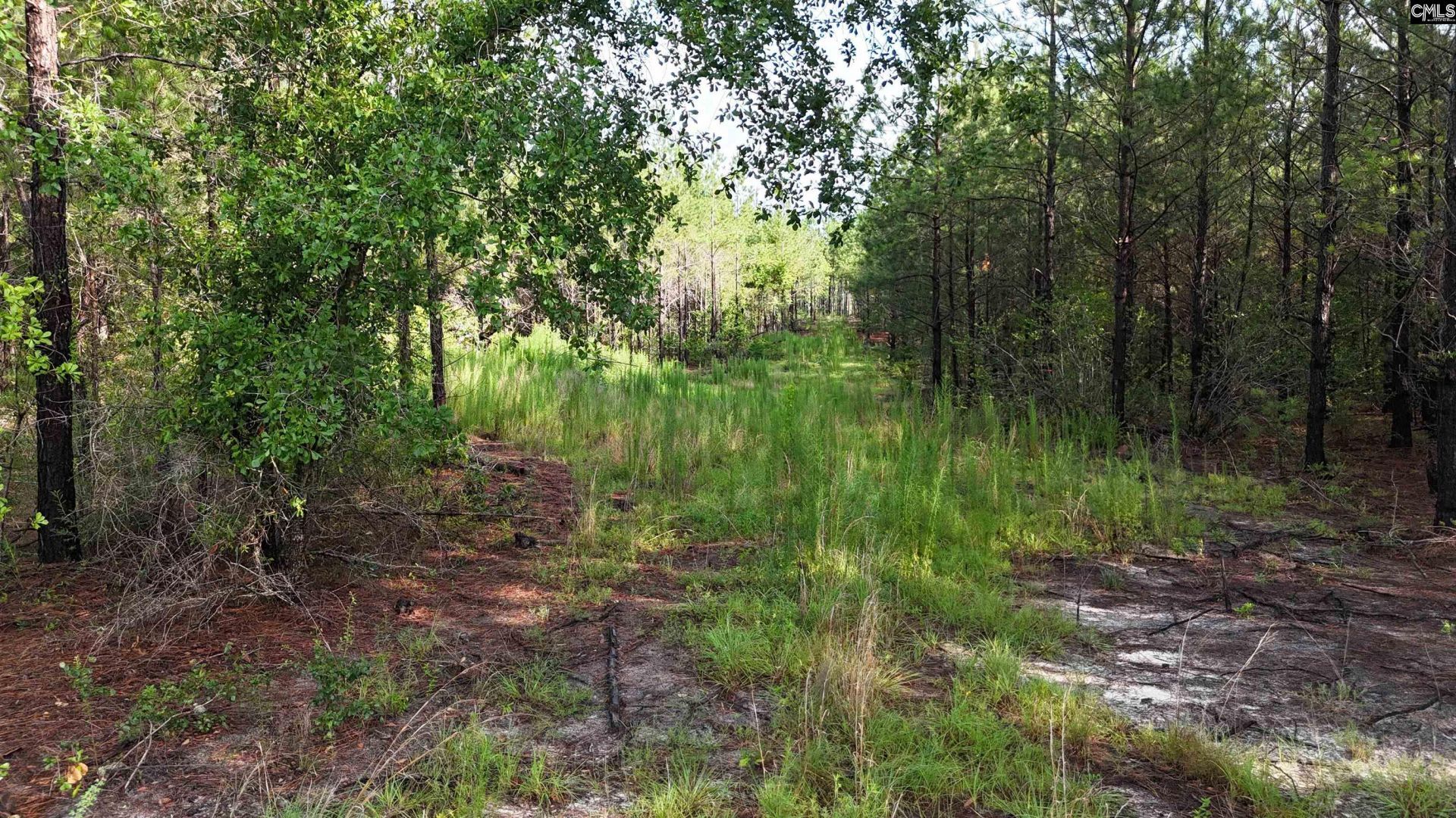 3091 Arcadia Road  Photo 6
