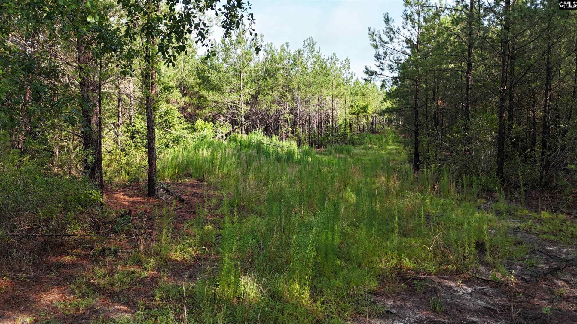 3091 Arcadia Road  Photo 7