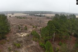 9 Sawmill Road  photo 4