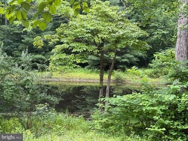 W HOOVER ROAD , REVA, VA 22735