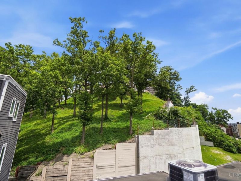 430 Oregon, Cincinnati, OH 45202 Photo 77