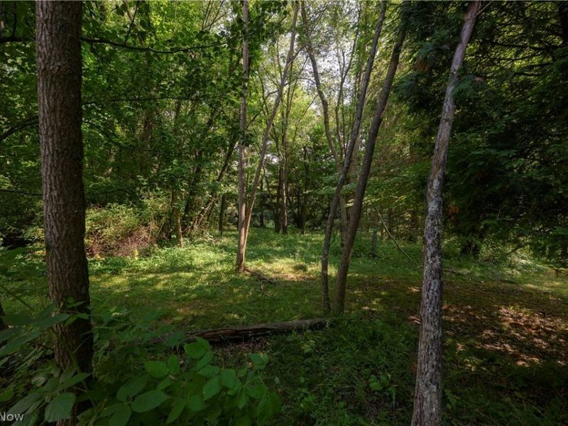 4831 Dueber Avenue SW, Canton, OH 44706 Photo 17