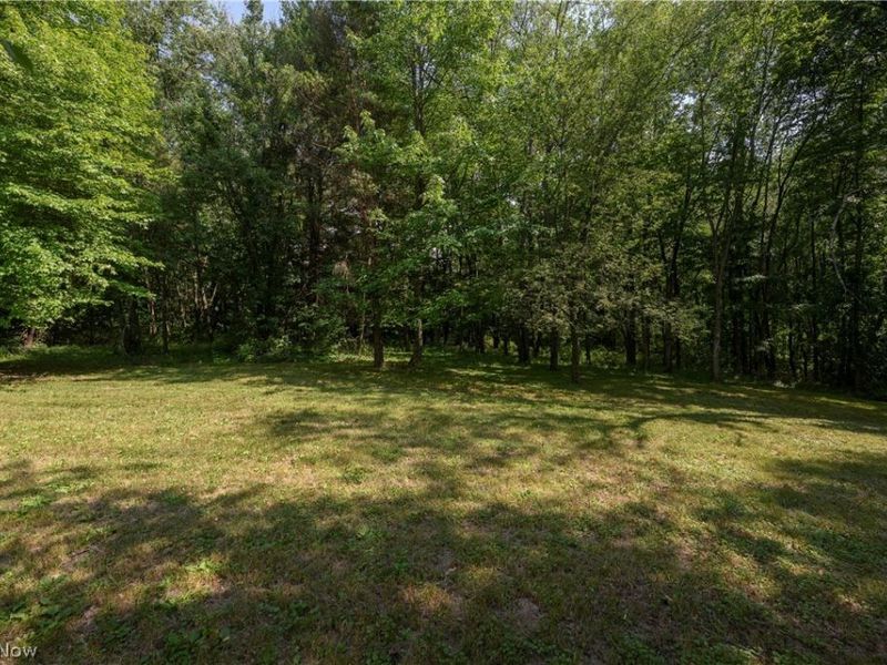 4831 Dueber Avenue SW, Canton, OH 44706 Photo 18
