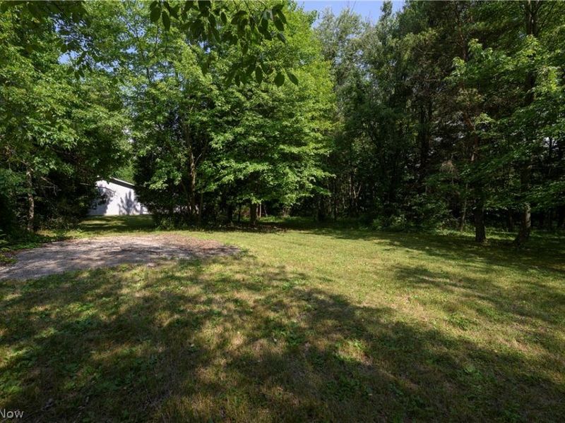 4831 Dueber Avenue SW, Canton, OH 44706 Photo 19