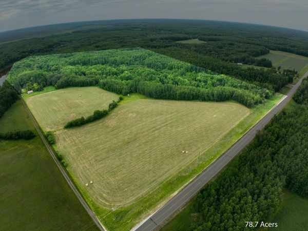 TBD COUNTY RD 79, Littlefork, MN 56653