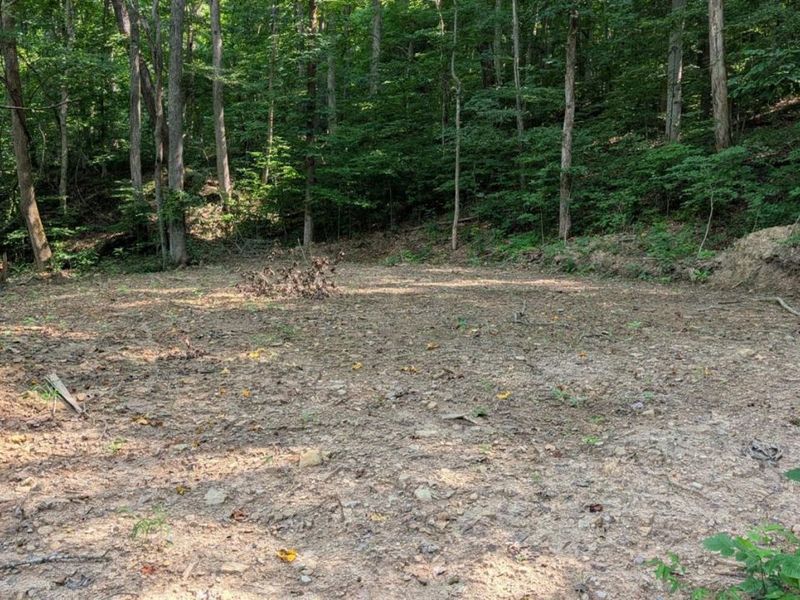 1492 Sulphur Creek Road, Stout, OH 45684 Photo 2