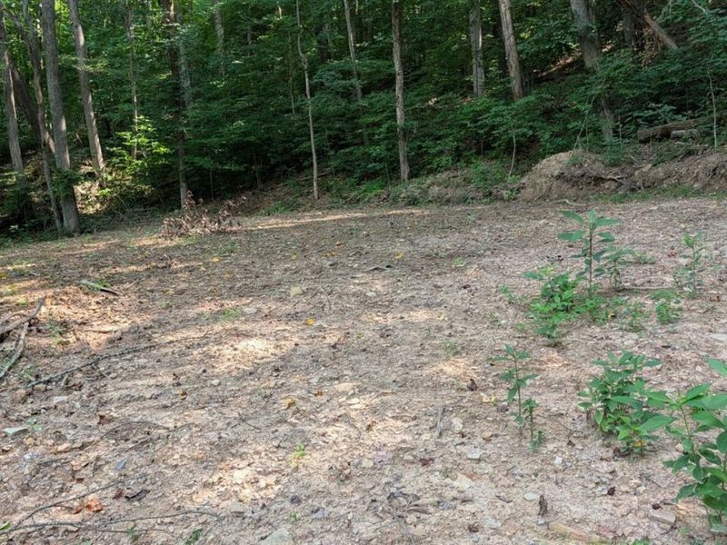 1492 Sulphur Creek Road, Stout, OH 45684 Photo 3