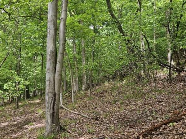 0000 Reservoir Road, Saltsburg, PA 15681