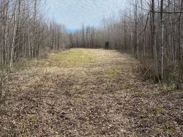 TBD COUNTY ROAD 79, Littlefork, MN 56649