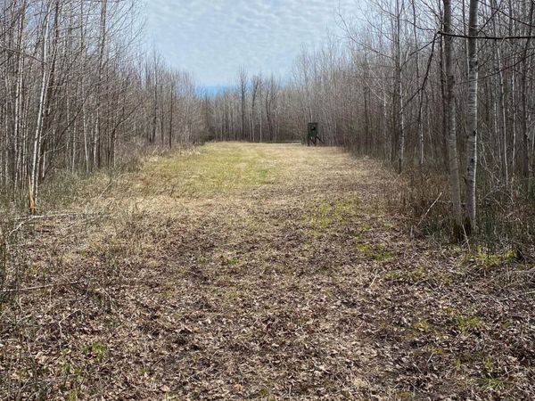 TBD COUNTY ROAD 79, Littlefork, MN 56649