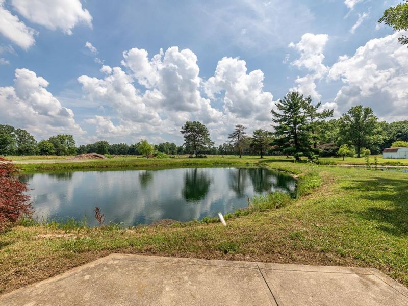 39591 State Route 303, Lagrange, OH 44050 Photo 59