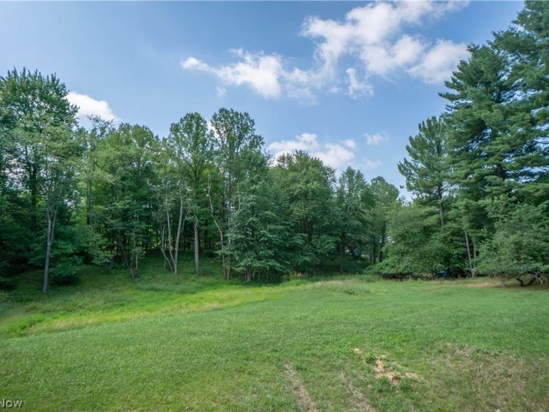 17684 Alexander Road, Walton Hills, OH 44146 Photo 39
