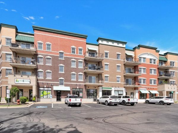 19806 Wolf Road , Unit 202, Mokena, IL 60448