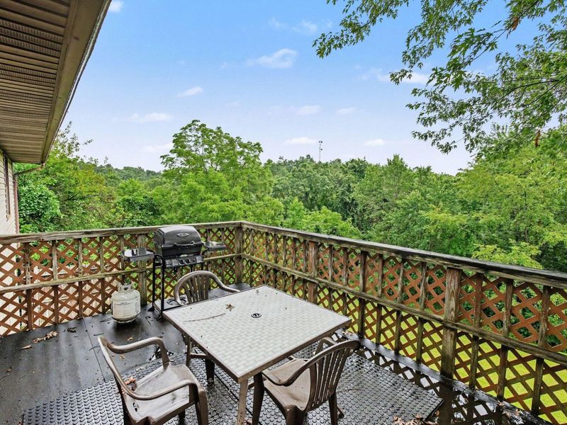 3 Lakeshore Court, Williamstown, KY 41097 Photo 14