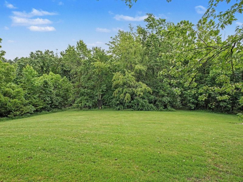 3 Lakeshore Court, Williamstown, KY 41097 Photo 15