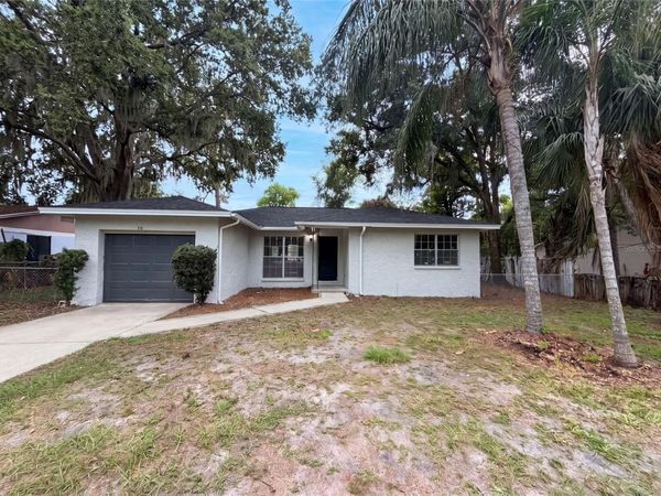 4209 E ALENE DRIVE , TAMPA, FL 33617