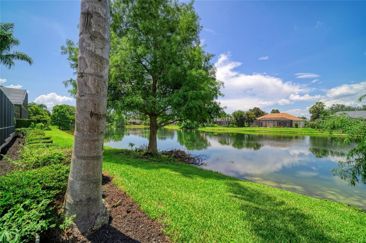 13329 Swallowtail Drive , Lakewood Ranch, FL 34202 Photo